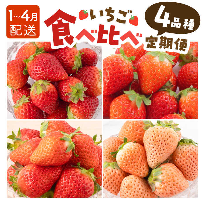 【先行予約】【4回定期便】いちご 4品種 食べ比べ 白いちご など 希少品種 も！【岸川農園】いちご いちご定期便 さがほのか よつぼし いちごさん 淡雪 イチゴ 赤イチゴ 苺 果物 フルーツ アフターフォロー 食べ比べ 希少 佐賀県 白石町 [IAP011]