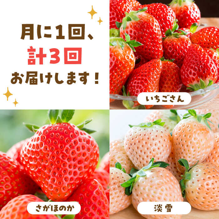 【ふるさと納税】【先行予約】【3回定期便】いちご 3品種 食べ比べ 定期便【岸川農園】農家直送 希少 苺 いちご イチゴ 白イチゴ 果物 フルーツ 淡雪 いちごさん さがほのか 佐賀県 白石町 [IAP022] サムネイル2