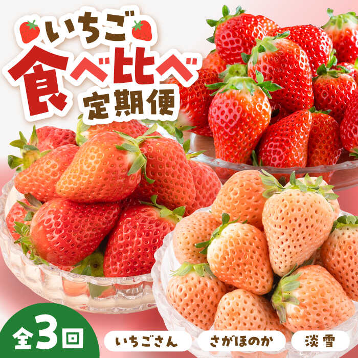 【先行予約】【3回定期便】いちご 3品種 食べ比べ 定期便【岸川農園】農家直送 希少 苺 いちご イチゴ 白イチゴ 果物 フルーツ 淡雪 いちごさん さがほのか 佐賀県 白石町 [IAP022]