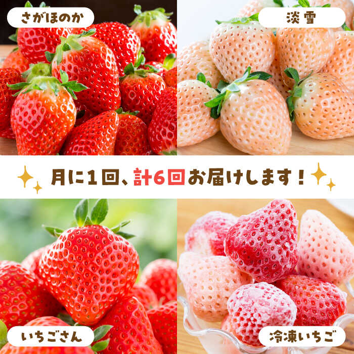 【ふるさと納税】【先行予約】【6回定期便】プレミアム いちご 食べ比べ 定期便【岸川農園】農家直送 希少 苺 いちご イチゴ 白イチゴ 果物 フルーツ 淡雪 いちごさん さがほのか 冷凍いちご 佐賀県 白石町 [IAP023] サムネイル2