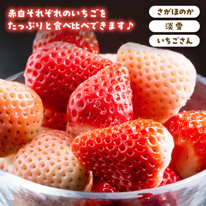 【ふるさと納税】【先行予約】【6回定期便】プレミアム いちご 食べ比べ 定期便【岸川農園】農家直送 希少 苺 いちご イチゴ 白イチゴ 果物 フルーツ 淡雪 いちごさん さがほのか 冷凍いちご 佐賀県 白石町 [IAP023] サムネイル3