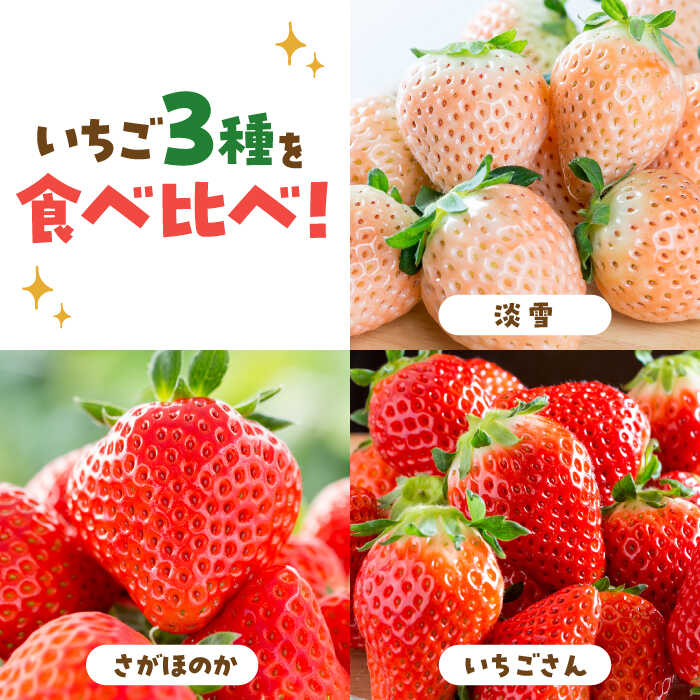 【ふるさと納税】【先行予約】いちご 3品種 食べ比べセット【岸川農園】農家直送 希少 苺 いちご イチゴ 白イチゴ 果物 フルーツ 淡雪 さがほのか いちごさん 佐賀県 白石町 [IAP029] サムネイル2