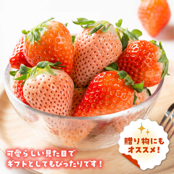 【ふるさと納税】【先行予約】いちご 3品種 食べ比べセット【岸川農園】農家直送 希少 苺 いちご イチゴ 白イチゴ 果物 フルーツ 淡雪 さがほのか いちごさん 佐賀県 白石町 [IAP029] サムネイル3