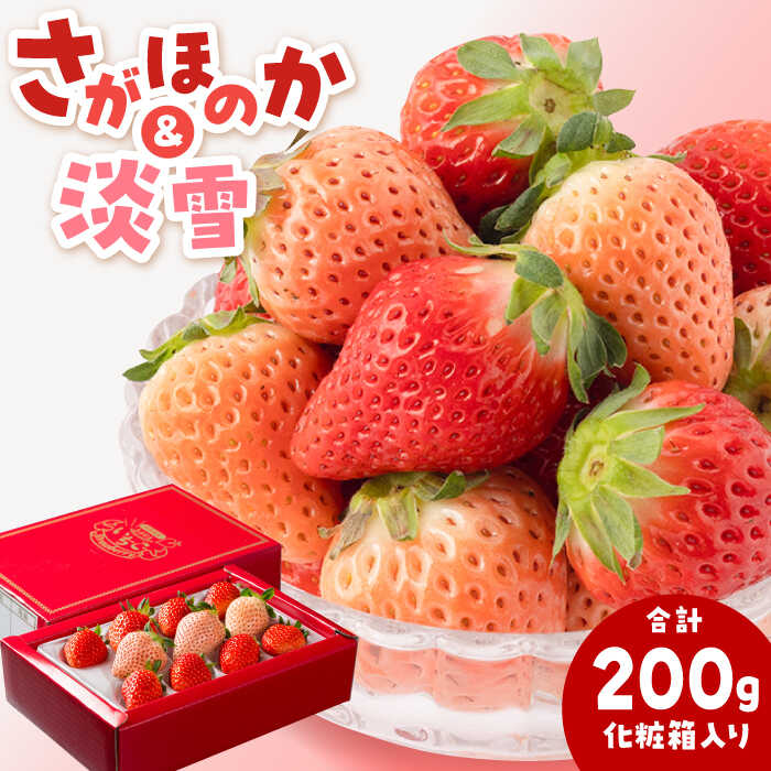 【先行予約】【農家直送】淡雪＆さがほのか 赤白いちごセット計200g（化粧箱入り）【岸川農園】イチゴ 白イチゴ 苺 果物 フルーツ 佐賀県 白石町 [IAP031]