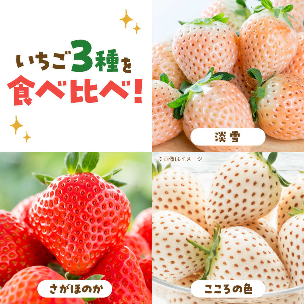 【ふるさと納税】【R8年2月以降発送】1パックに3色いちご（こころの色・さがほのか・淡雪）220g×1パック 【岸川農園】[IAP047] サムネイル2