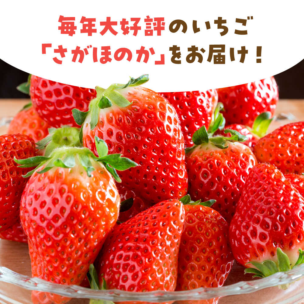 【ふるさと納税】【R8年1月以降発送】白石産いちご「さがほのか」 220g×2パック 【岸川農園】[IAP048] サムネイル2