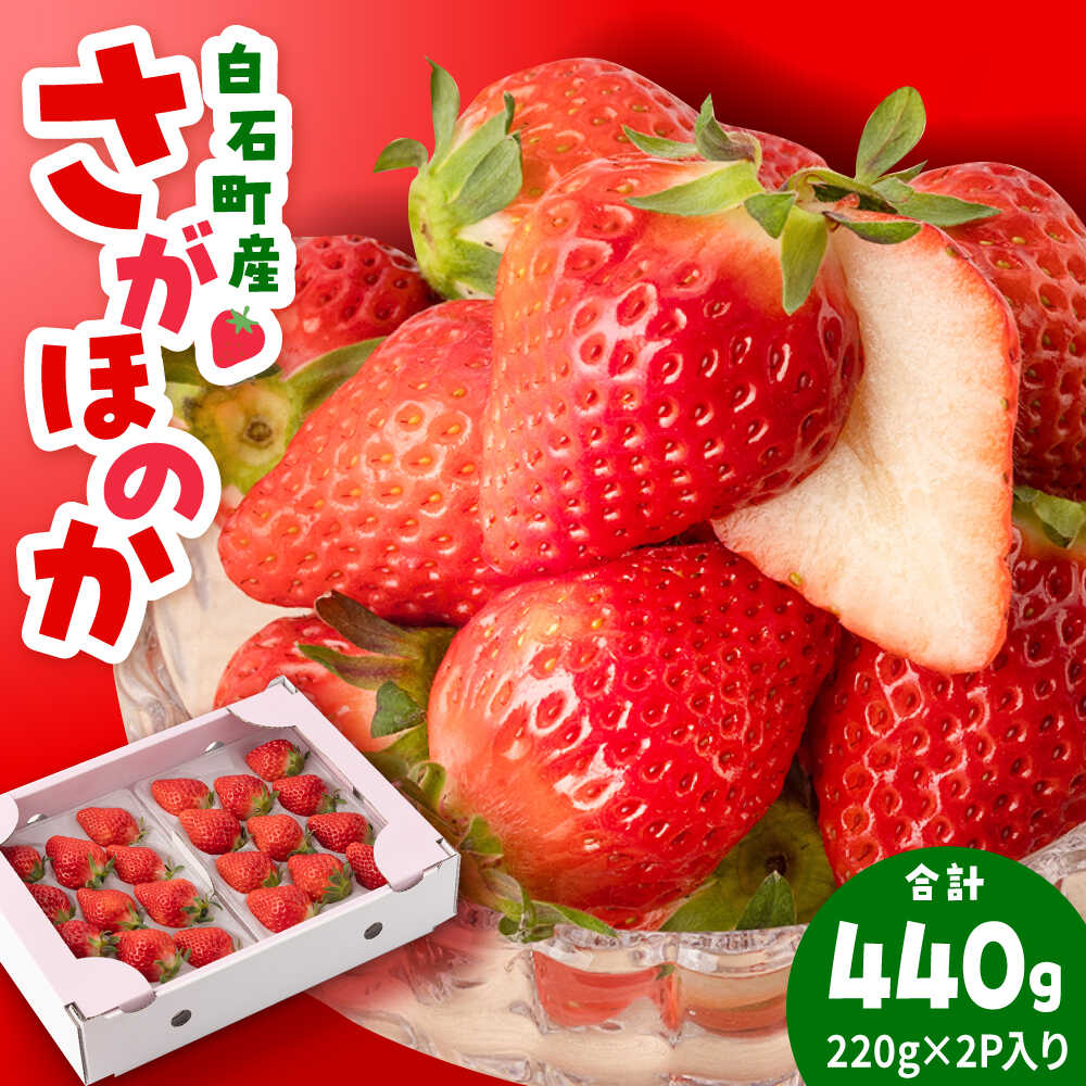 【R8年1月以降発送】白石産いちご「さがほのか」 220g×2パック 【岸川農園】[IAP048]