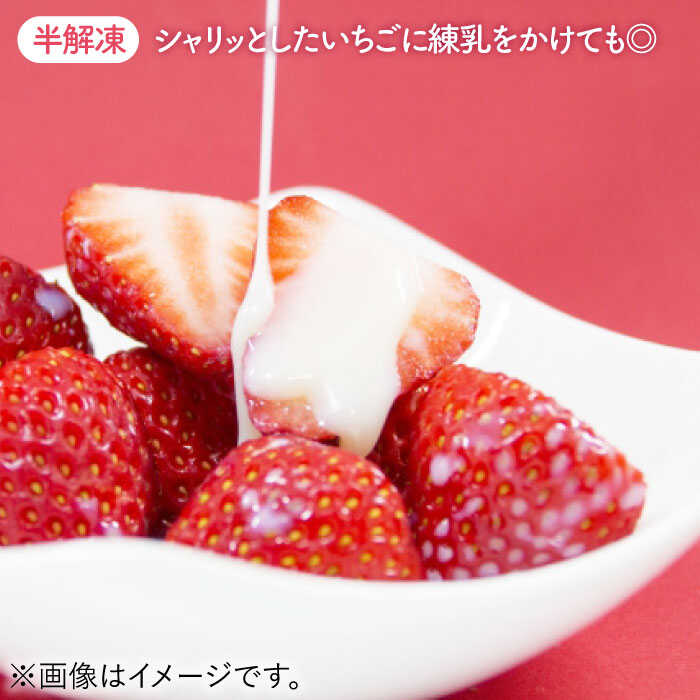 【ふるさと納税】 【R8年5月以降発送】 冷凍いちご(さがほのか・パールホワイト) 750g 2種の食べ比べセット 【ハヤシダファーム】 ジャム シロップ スムージー 冷凍 イチゴ 苺 果物 くだもの フルーツ 冷凍果実 冷凍フルーツ 佐賀県 白石町 [IAQ003] サムネイル3