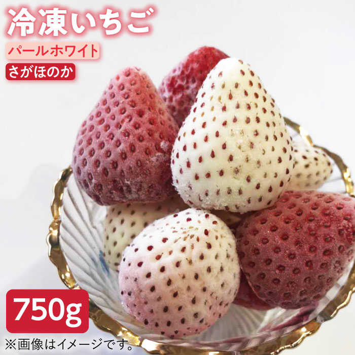 【R8年5月以降発送】 冷凍いちご(さがほのか・パールホワイト) 750g 2種の食べ比べセット 【ハヤシダファーム】 ジャム シロップ スムージー 冷凍 イチゴ 苺 果物 くだもの フルーツ 冷凍果実 冷凍フルーツ 佐賀県 白石町 [IAQ003]