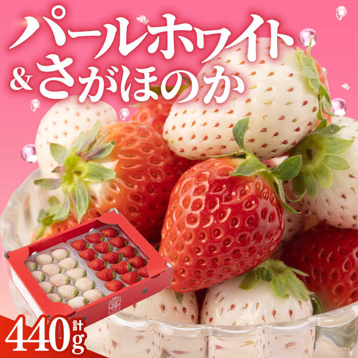 【先行予約】 【農家直送】 いちご食べ比べ！『さがほのか』と『パールホワイト』220g×2パック（各220g）【ハヤシダファーム】 イチゴ 白イチゴ 苺 果物 フルーツ 佐賀県 白石町 [IAQ005]