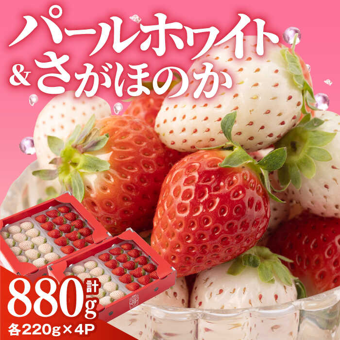 【先行予約】 いちご食べ比べ！『さがほのか』と『パールホワイト』220g×各2パック 計4パック【ハヤシダファーム】 イチゴ 白イチゴ 苺 果物 フルーツ 佐賀県 白石町 [IAQ017]