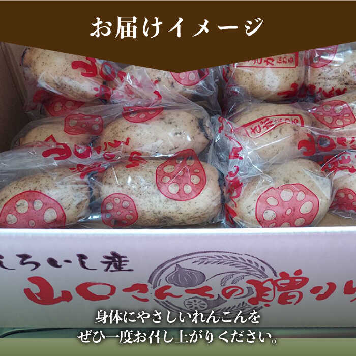 【ふるさと納税】【年内配送】【農家直送！】洗いれんこん 2kg（500g×4袋）〜山口さんちの贈り物〜【y'scompany】 蓮根 レンコン 根菜 野菜 佐賀県 白石町 [IAS003] サムネイル3