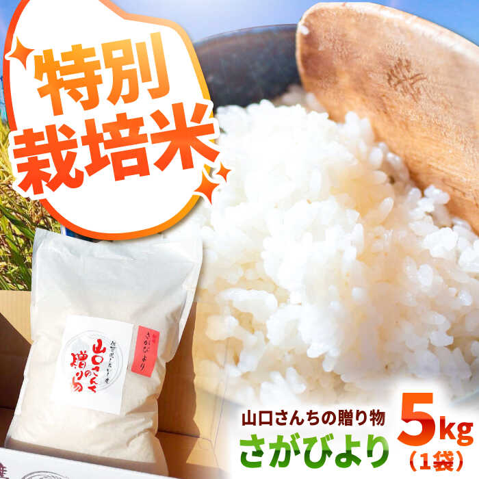 【令和7年産】 特別栽培米 さがびより 5kg 白米〜山口さんちの贈り物〜【y'scompany】米 5kg 精米 特A 特A評価 佐賀県産 国産米 コメ こめ お米 白米 ブランド米 さがびより 九州 佐賀県 白石町 白石 令和8年発送[IAS005]