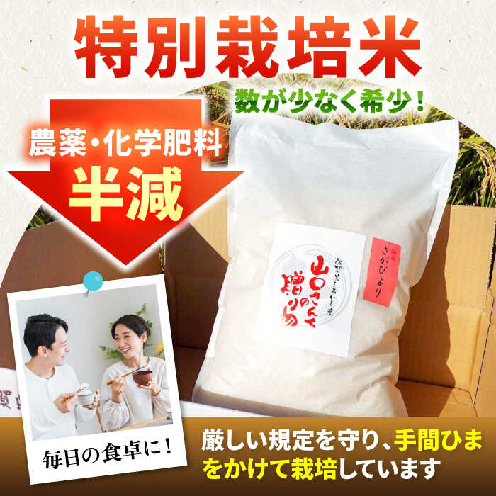 【ふるさと納税】【令和7年産】 特別栽培米 さがびより 10kg 白米〜山口さんちの贈り物〜【y'scompany】米 10kg 精米 特A 特A評価 佐賀県産 国産米 コメ こめ お米 白米 ブランド米 さがびより 九州 佐賀県 白石町 白石 令和8年発送[IAS006] - 画像3
