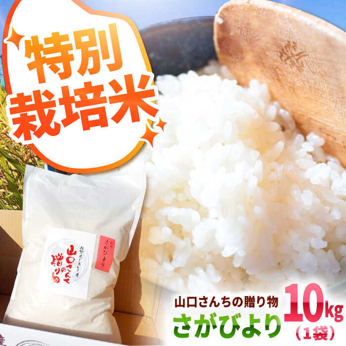 【令和7年産】 特別栽培米 さがびより 10kg 白米〜山口さんちの贈り物〜【y'scompany】米 10kg 精米 特A 特A評価 佐賀県産 国産米 コメ こめ お米 白米 ブランド米 さがびより 九州 佐賀県 白石町 白石 令和8年発送[IAS006]