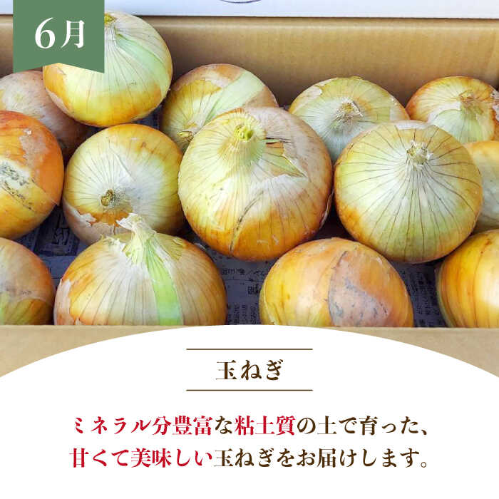 【ふるさと納税】【令和8年6月以降発送】【6回定期便】 農家直送！ 特産物 詰合せ 〜山口さんちの贈り物〜【y'scompany】さがびより 夢しずく ひのひかり コシヒカリ 特A 特A評価 佐賀県産玉葱 米 れんこん 人気 高評価 九州 佐賀県 白石町 白石 [IAS018] - 画像3