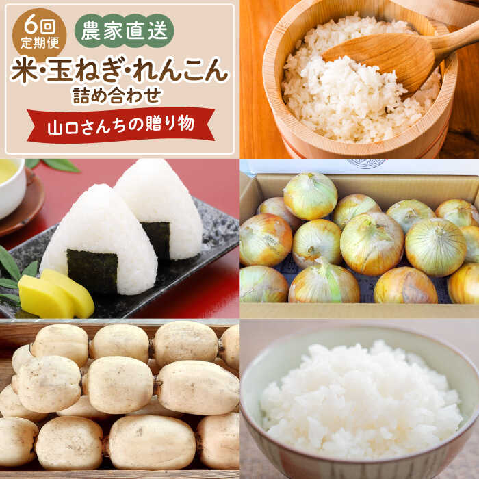 【令和8年6月以降発送】【6回定期便】 農家直送！ 特産物 詰合せ 〜山口さんちの贈り物〜【y'scompany】さがびより 夢しずく ひのひかり コシヒカリ 特A 特A評価 佐賀県産玉葱 米 れんこん 人気 高評価 九州 佐賀県 白石町 白石 [IAS018]