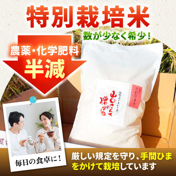【ふるさと納税】【令和7年産】 特別栽培米 さがびより（玄米） 10kg【y'scompany】 米 10kg 玄米 特A 特A評価 佐賀県産 国産米 コメ こめ お米 ブランド米 おにぎり さがびより 九州 佐賀県 白石町 人気 令和8年発送[IAS022] - 画像3