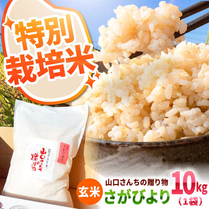 【令和7年産】 特別栽培米 さがびより（玄米） 10kg【y'scompany】 米 10kg 玄米 特A 特A評価 佐賀県産 国産米 コメ こめ お米 ブランド米 おにぎり さがびより 九州 佐賀県 白石町 人気 令和8年発送[IAS022]