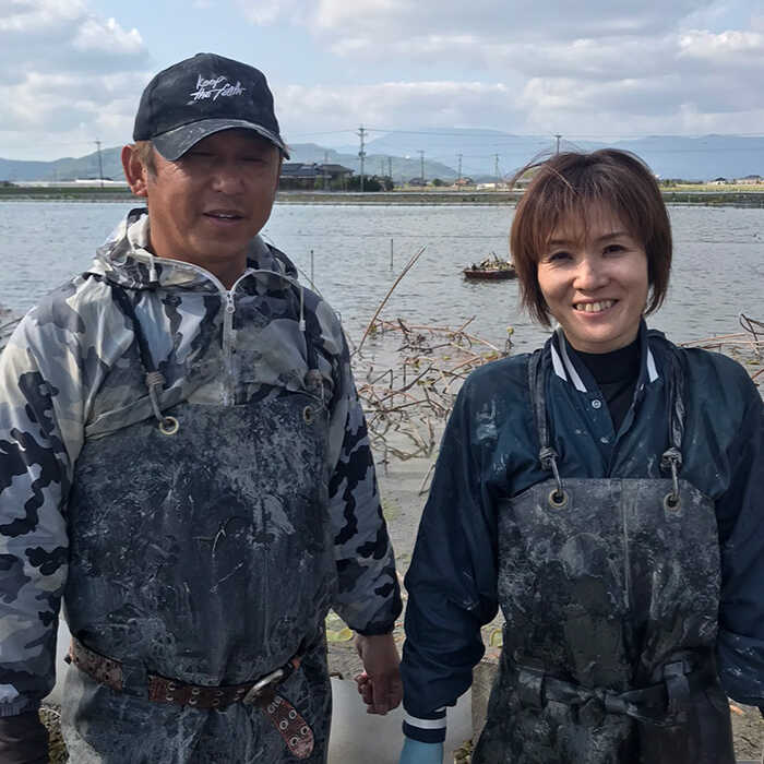 【ふるさと納税】【年内配送】【ミシュランシェフも認めた】れんこん（泥付き） 3kg 【田島屋れんこん】 蓮根 レンコン 根菜 野菜 白石町産 佐賀県 白石町 [IAV001] サムネイル2