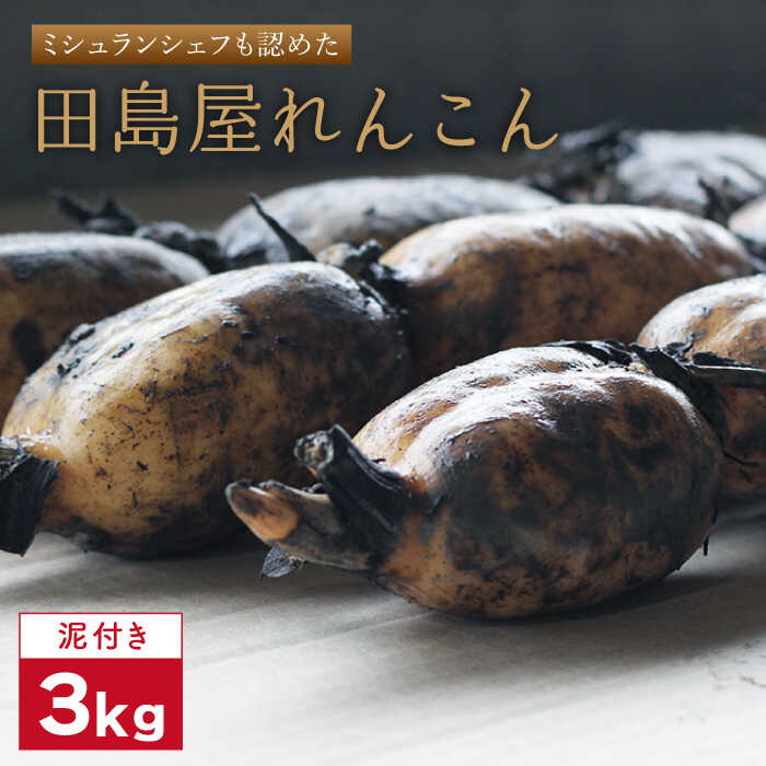 【年内配送】【ミシュランシェフも認めた】れんこん（泥付き） 3kg 【田島屋れんこん】 蓮根 レンコン 根菜 野菜 白石町産 佐賀県 白石町 [IAV001]