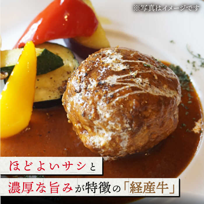 【ふるさと納税】牧場直営店の黒毛和牛100%ミンチ 1000g (500g×2パック)【川崎畜産】黒毛和牛 ミンチ 定期便1kg 100% 牛肉 ひき肉 牧場直営 国産 和牛 冷凍 便利 粗挽き 細挽き ハンバーグ 人気 おすすめ 佐賀県 白石町 [IAX004] サムネイル2