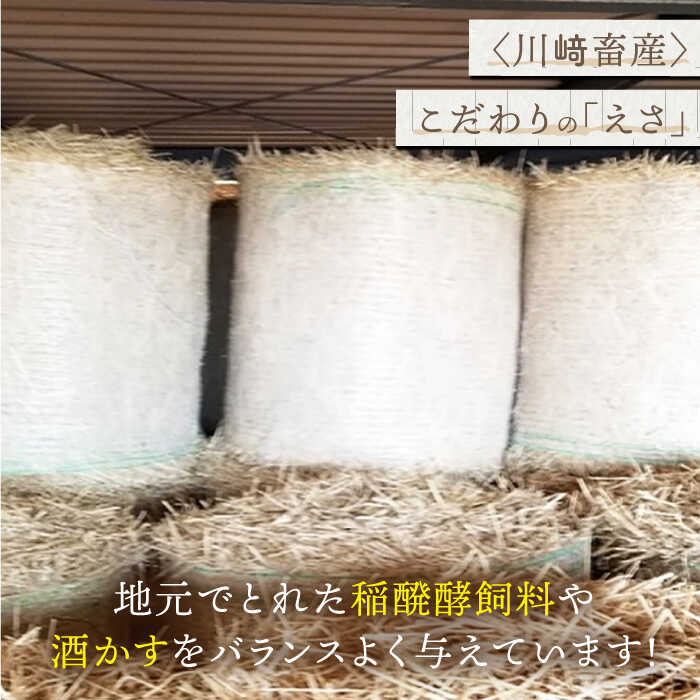 【ふるさと納税】牧場直営店の黒毛和牛100%ミンチ 1000g (500g×2パック)【川崎畜産】黒毛和牛 ミンチ 定期便1kg 100% 牛肉 ひき肉 牧場直営 国産 和牛 冷凍 便利 粗挽き 細挽き ハンバーグ 人気 おすすめ 佐賀県 白石町 [IAX004] サムネイル3