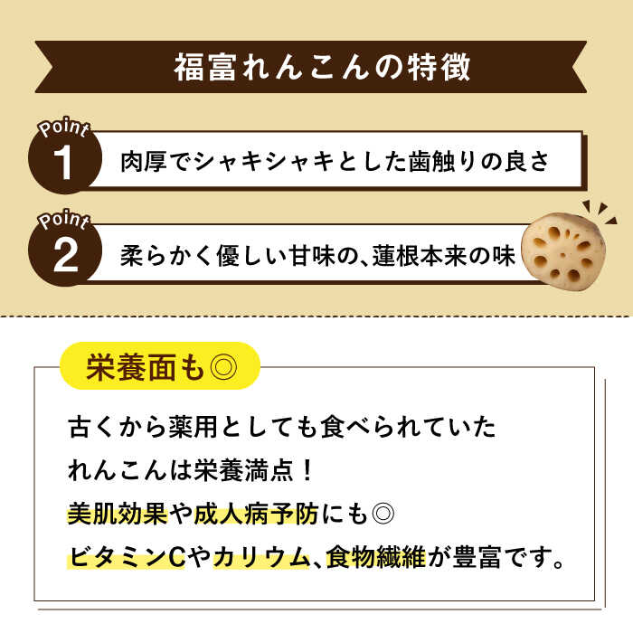 【ふるさと納税】【節切り】 希少な オーガニック 福富 れんこん 約1.5kg【中島農園】 野菜 新鮮 美肌 レンコン 蓮根 野菜 根菜 有機JAS 白石町産 佐賀県産 [IBC001] サムネイル2