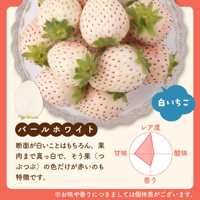 【ふるさと納税】【先行予約】 赤白いちご「いちごさん」＆「パールホワイト」セット各220g 【かわさきいちご】 イチゴ 白イチゴ 苺 果物 フルーツ 佐賀県 白石町 [IBG002] サムネイル3
