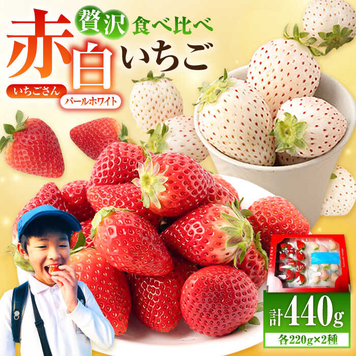 【先行予約】 赤白いちご「いちごさん」＆「パールホワイト」セット各220g 【かわさきいちご】 イチゴ 白イチゴ 苺 果物 フルーツ 佐賀県 白石町 [IBG002]
