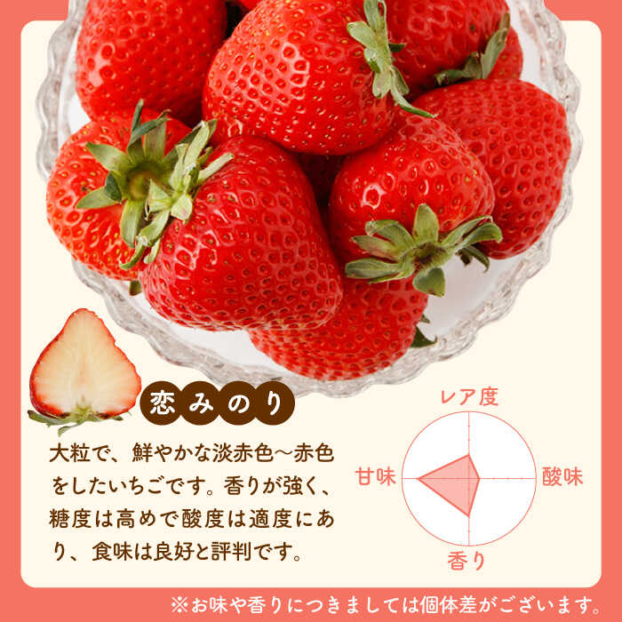 【ふるさと納税】 【先行予約】【農家直送】 いちごに想いをのせて「恋みのり」220g×2パック 【鐘ヶ江農園】 イチゴ 苺 直送 新鮮 果物 フルーツ 産地直送 佐賀県 白石町 [IBH001] サムネイル2