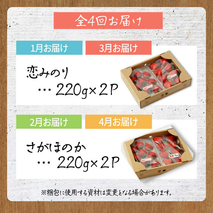 【ふるさと納税】【R8年1月以降発送】【全4回定期便】 食べ比べ！恋みのり＆さがほのか 定期便【鐘ヶ江農園】 イチゴ 苺 直送 新鮮 果物 フルーツ 産地直送 佐賀県 白石町 [IBH008] サムネイル2