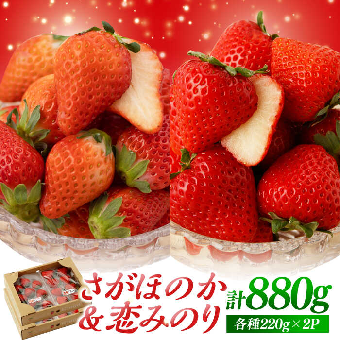 【先行予約】食べ比べ！恋みのり＆さがほのか 計880g（各種220g×2パック）詰め合わせ セット【鐘ヶ江農園】イチゴ 苺 直送 新鮮 果物 フルーツ 産地直送 佐賀県 白石町 [IBH011]