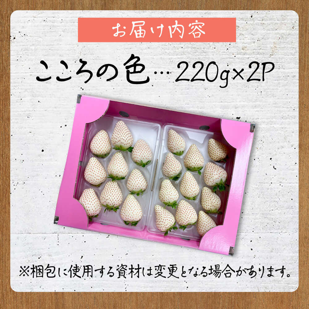 【ふるさと納税】【先行予約】新品種 白石町産 白いちご 「こころの色」 220g×2パック 【鐘ヶ江農園】[IBH016] サムネイル3