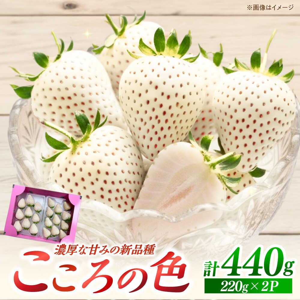 【先行予約】新品種 白石町産 白いちご 「こころの色」 220g×2パック 【鐘ヶ江農園】[IBH016]