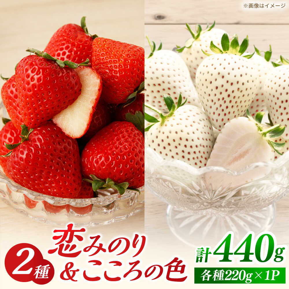 【先行予約】恋みのり・こころの色 220g×2パック（各1パック） 【鐘ヶ江農園】[IBH020]
