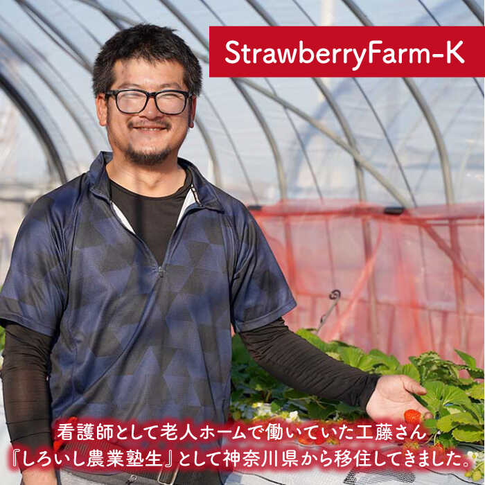 【先行予約】【ふるさと納税】 【農家直送】 かおり野 2パック or 4パック or 化粧箱【StrawberryFarm-K】 赤いちご イチゴ 苺 果物 フルーツ 佐賀県 白石町 [IBJ003] サムネイル3