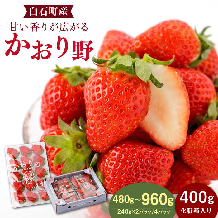 【先行予約】 【農家直送】 かおり野 2パック or 4パック or 化粧箱【StrawberryFarm-K】 赤いちご イチゴ 苺 果物 フルーツ 佐賀県 白石町 [IBJ003]