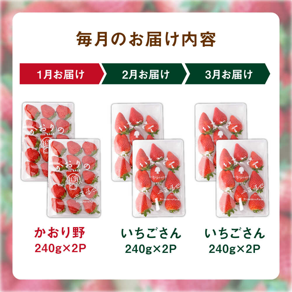 【ふるさと納税】 【R8年1月以降発送】 【全3回定期便】 赤いちご食べ比べ！かおり野＆いちごさん 定期便【StrawberryFarm-K】 イチゴ 苺 赤いちご フルーツ 果物 佐賀県 白石町 [IBJ007] サムネイル3