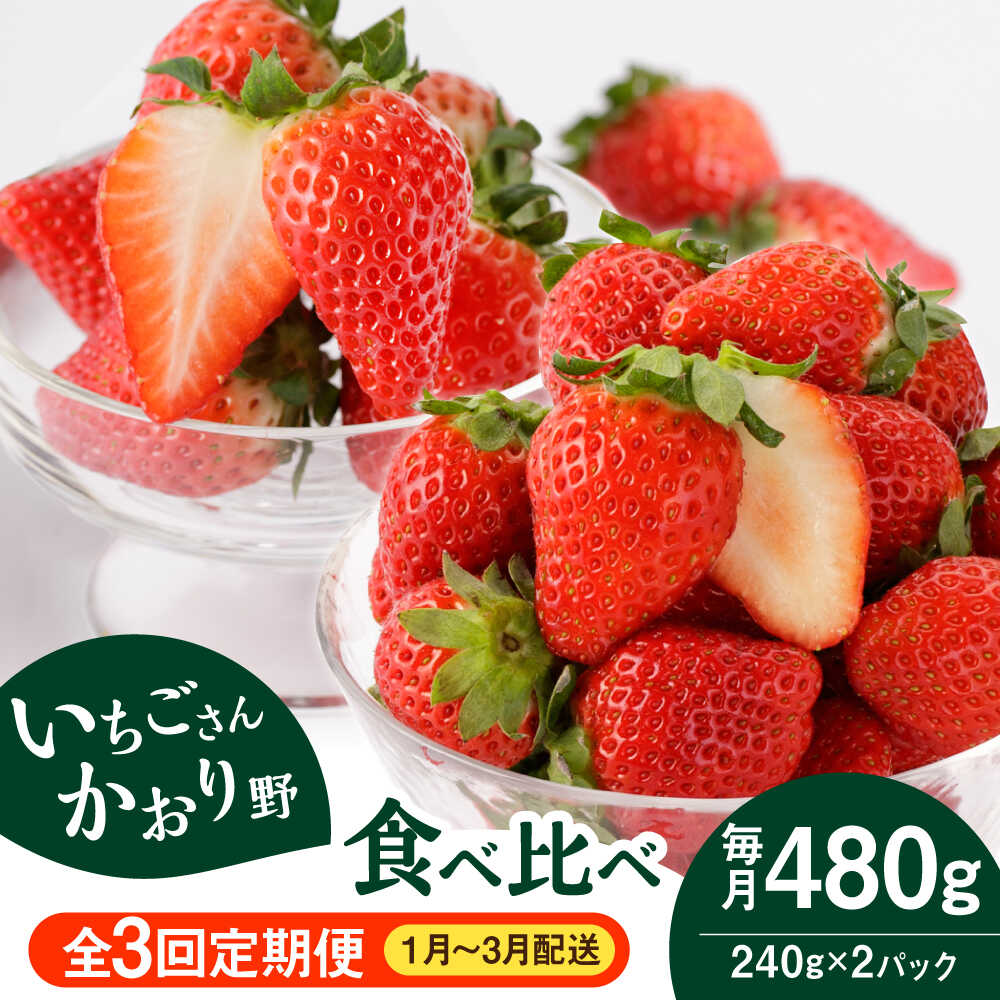 【R8年1月以降発送】 【全3回定期便】 赤いちご食べ比べ！かおり野＆いちごさん 定期便【StrawberryFarm-K】 イチゴ 苺 赤いちご フルーツ 果物 佐賀県 白石町 [IBJ007]