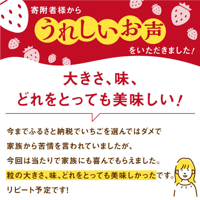 【ふるさと納税】【先行予約】【配送時期・回数が選べる定期便】 いちごさん 240g×2パック【StrawberryFarm-K】イチゴ 苺 赤いちご フルーツ 果物 佐賀県 白石町 [IBJ008] サムネイル3