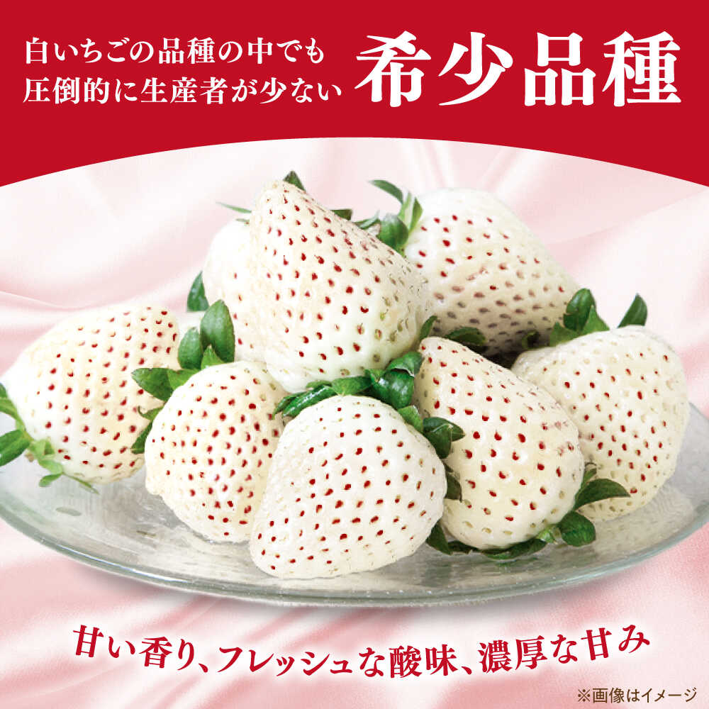 【ふるさと納税】【R8年1月以降発送】【幻の白いちご】 こころの色 220g×2パック 【StrawberryFarm-K】 [IBJ010] サムネイル2