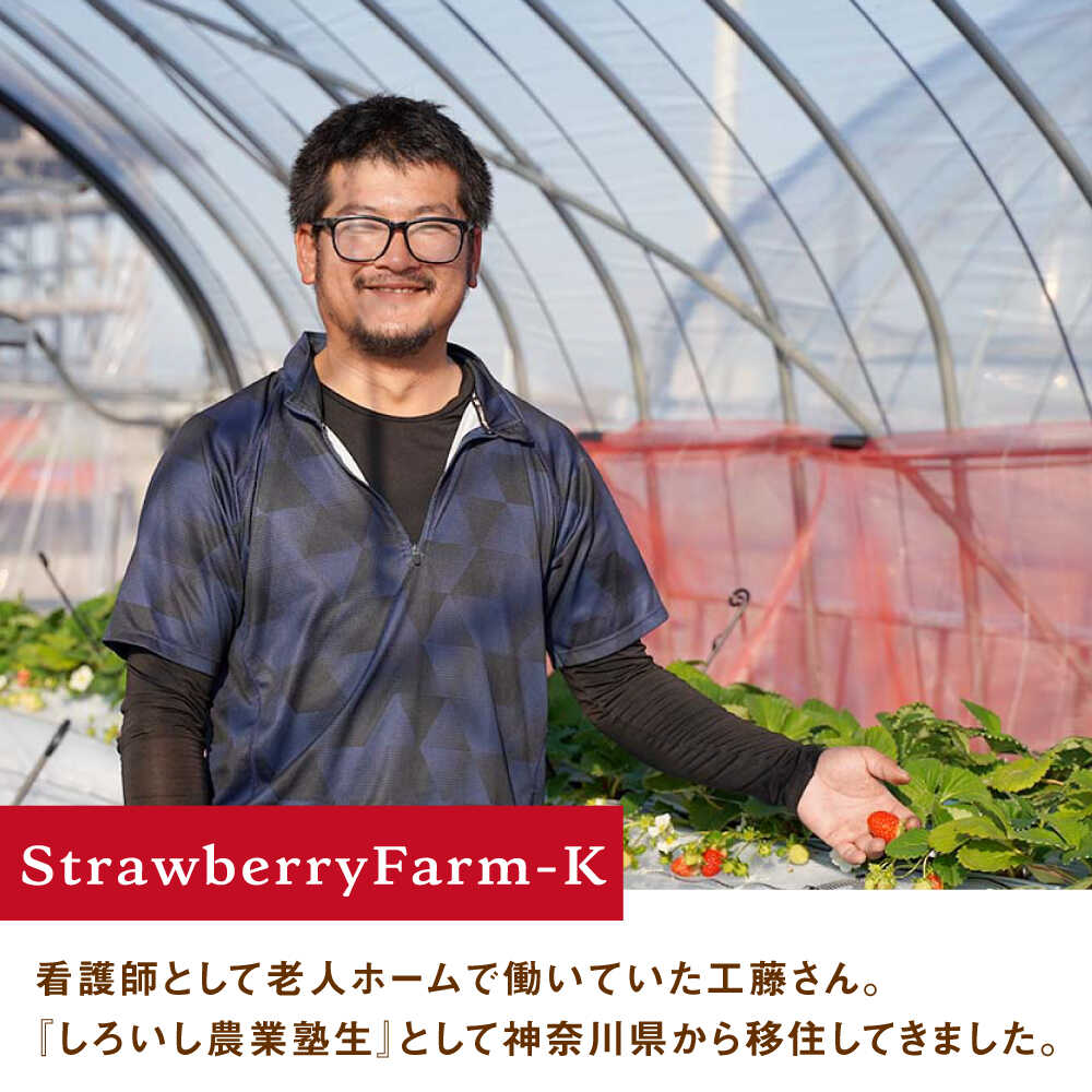 【ふるさと納税】【R8年1月以降発送】【幻の白いちご】 こころの色 220g×2パック 【StrawberryFarm-K】 [IBJ010] サムネイル3