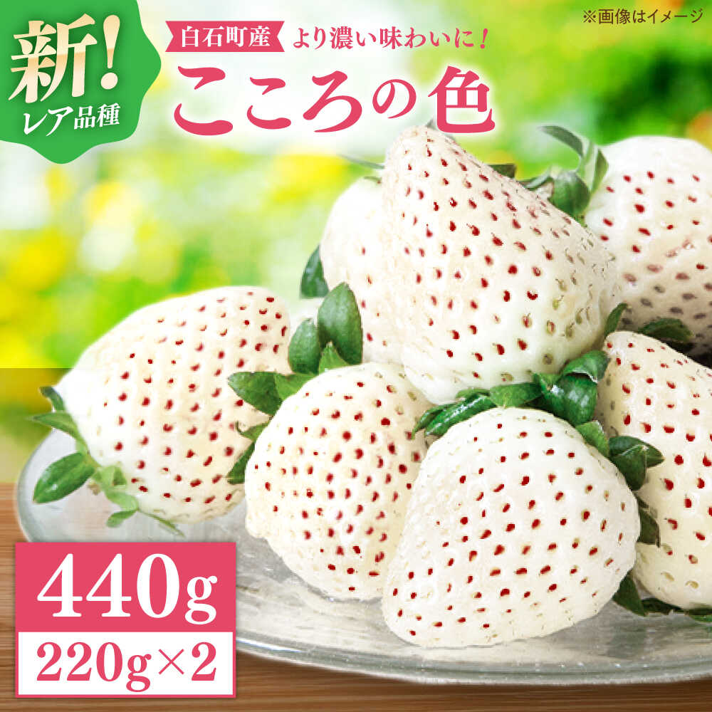 【R8年1月以降発送】【幻の白いちご】 こころの色 220g×2パック 【StrawberryFarm-K】 [IBJ010]