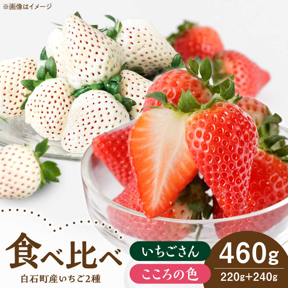 【R8年1月以降発送】こころの色＋いちごさん 計460g （こころの色220g、いちごさん240g） 【StrawberryFarm-K】 [IBJ022]
