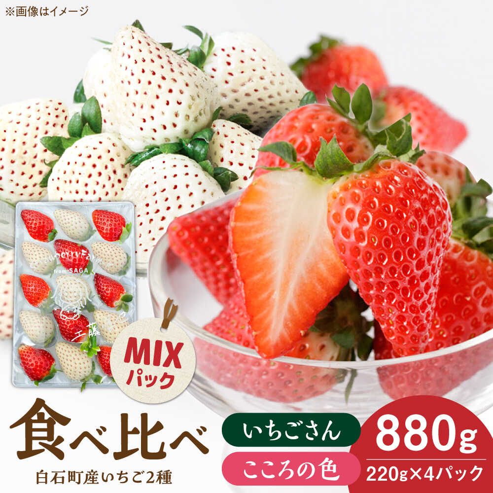 【R8年1月以降発送】こころの色×いちごさんミックス 紅白いちごセット 計880g（220g×4パック） 【Strawberryfarm-K】 紅白いちご 希少 いちご 果物 フルーツ いちごさん セット [IBJ027]