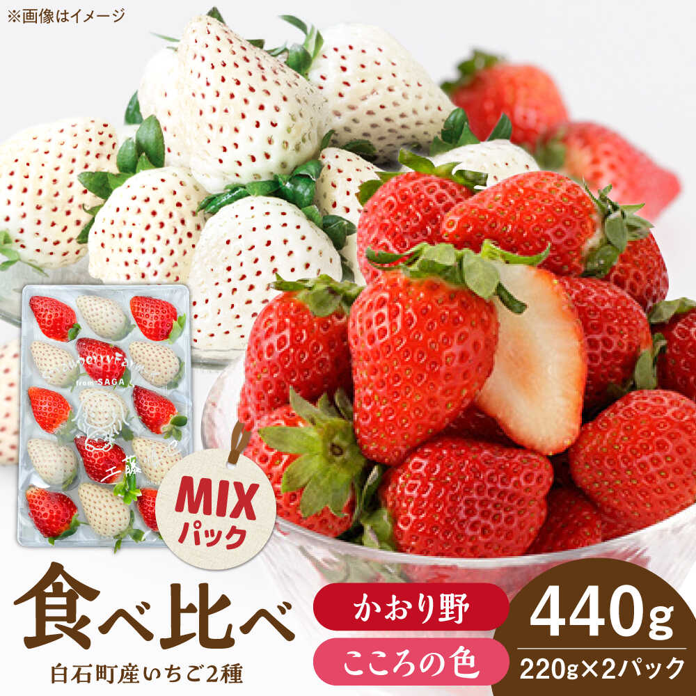 【R8年1月以降発送】こころの色×かおり野ミックス 紅白いちごセット 計440g（220g×2パック） 【Strawberryfarm-K】 紅白いちご 希少 いちご 果物 フルーツ かおり野 セット [IBJ028]