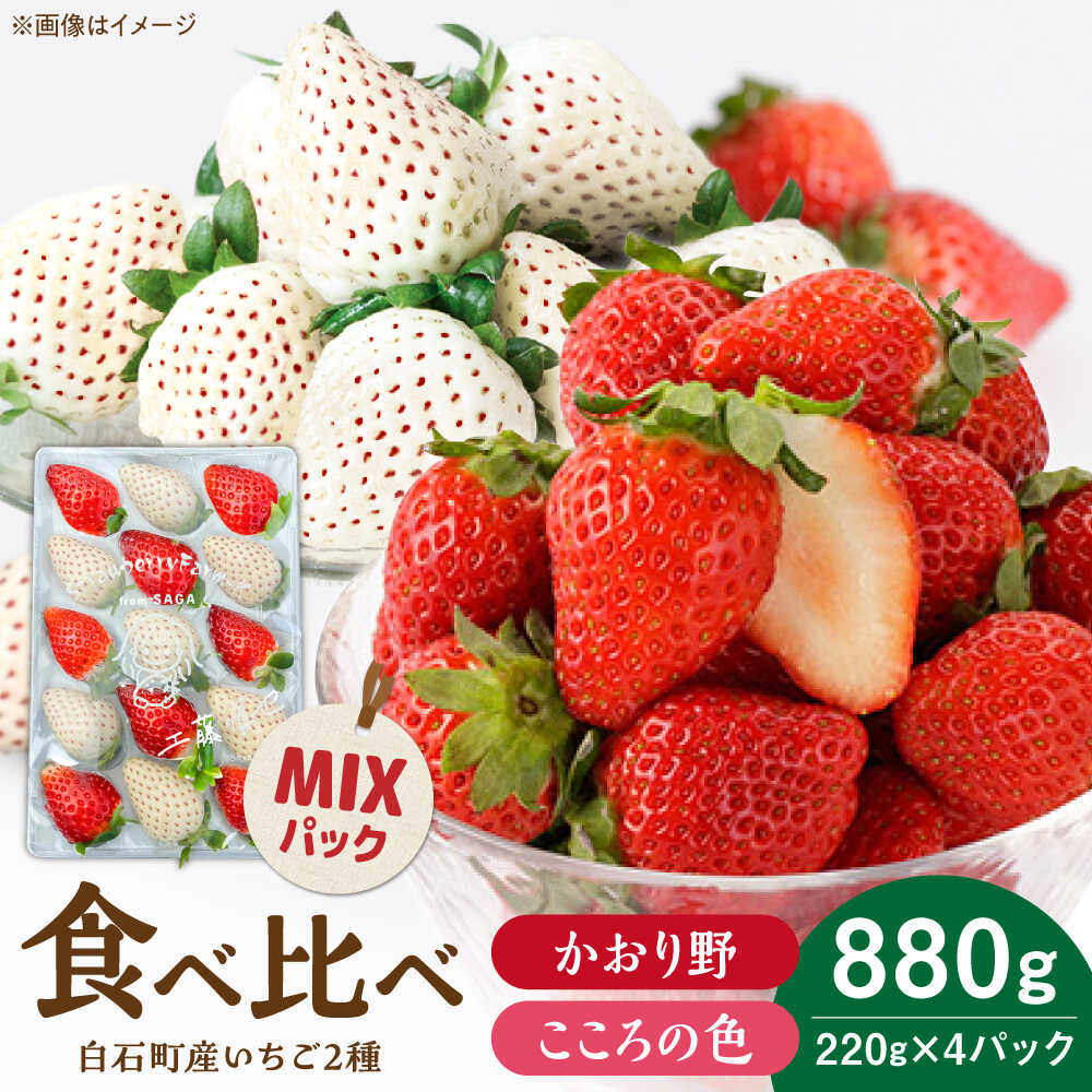【R8年1月以降発送】こころの色×かおり野ミックス 紅白いちごセット 計880g（220g×4パック） 【Strawberryfarm-K】 紅白いちご 希少 いちご 果物 フルーツ かおり野 セット [IBJ029]