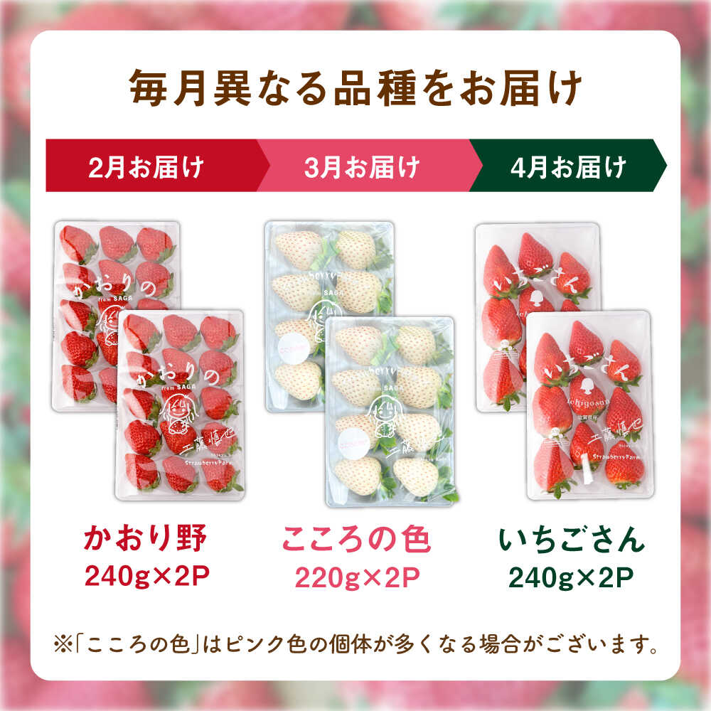 【ふるさと納税】【R8年2月以降発送】【全3回定期便】3種の食べ比べ定期便（2） 【StrawberryFarm-K】[IBJ031] サムネイル2