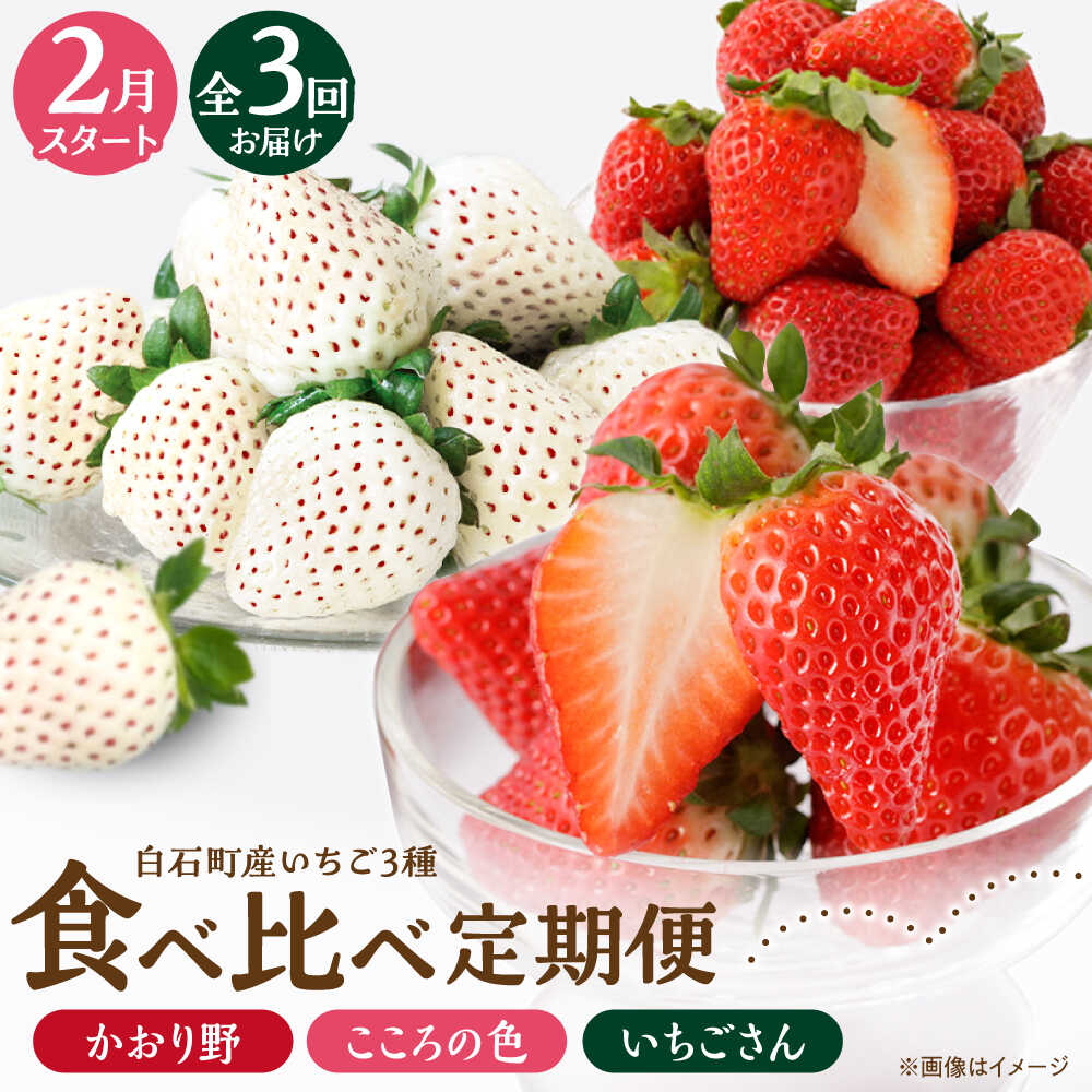 【R8年2月以降発送】【全3回定期便】3種の食べ比べ定期便（2） 【StrawberryFarm-K】[IBJ031]